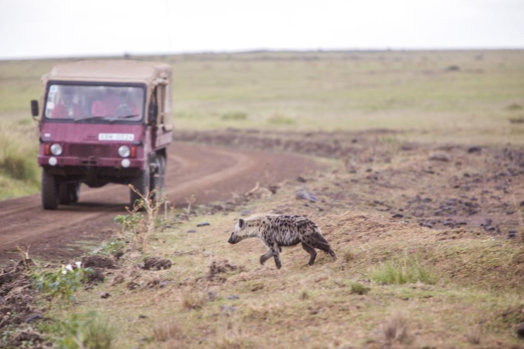 Mara Engai Lodge Lolgorien Kültér fotó