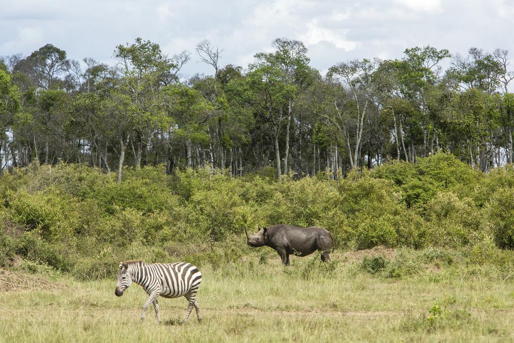 Mara Engai Lodge Lolgorien Kültér fotó